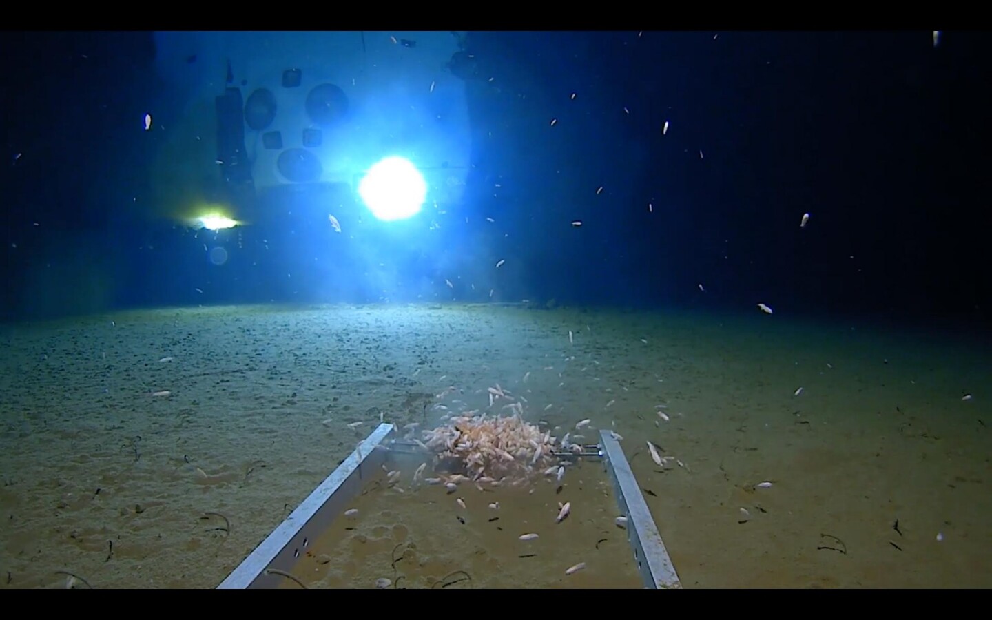 Victor Vescovo And The DSV Limiting Factor Have Found New Depths In The Victor vescovo and the dsv limiting factor have found new depths in the