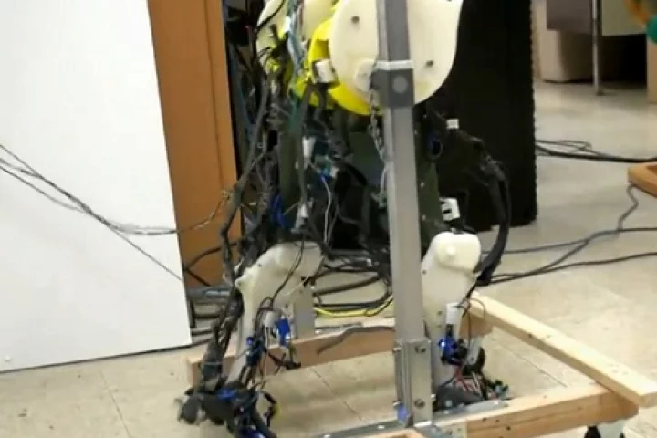 This biologically accurate set of robotic legs comprises simplified versions of the human neural, musculoskeletal and sensory feedback systems