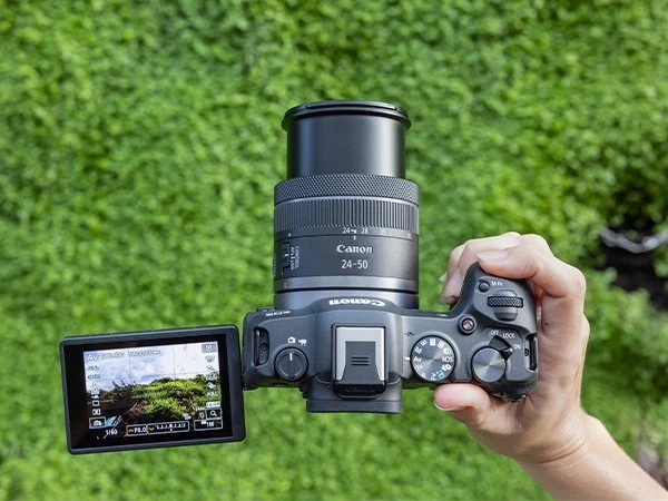 The EOS R8 can record 4K UHD video at up to 60 frames per second