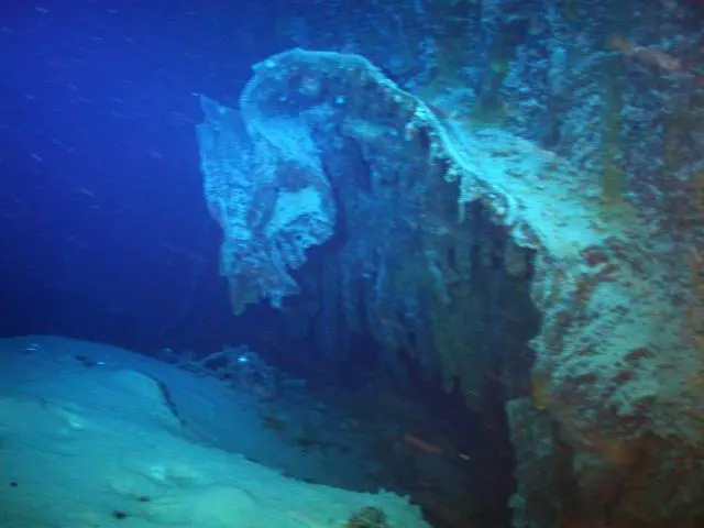 The SS Gairsoppa was sunk by torpedo from German U-boat U-101 in 1941 during World War II