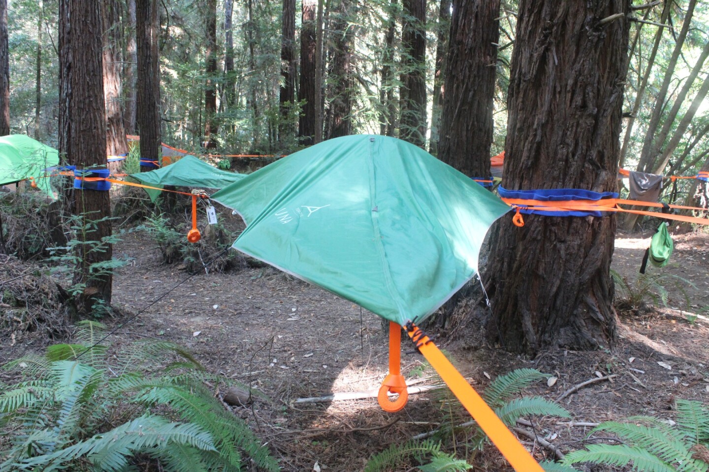 Review Sleeping among towering redwoods in a Tentsile tree tent