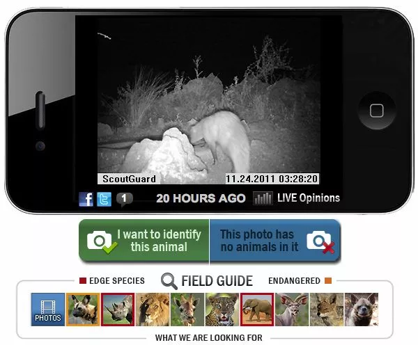 Instant Wild is a conservation app that sends photos of wild animals to users' iPhones, as those animals trigger camera traps in the wild
