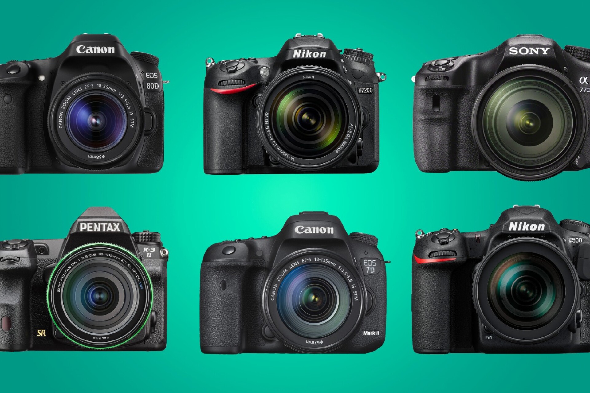 The best APSC DSLR cameras 2016
