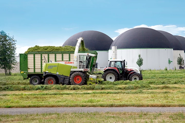 Ecotricity claims that 97 percent of British homes could be run on gas made from grass