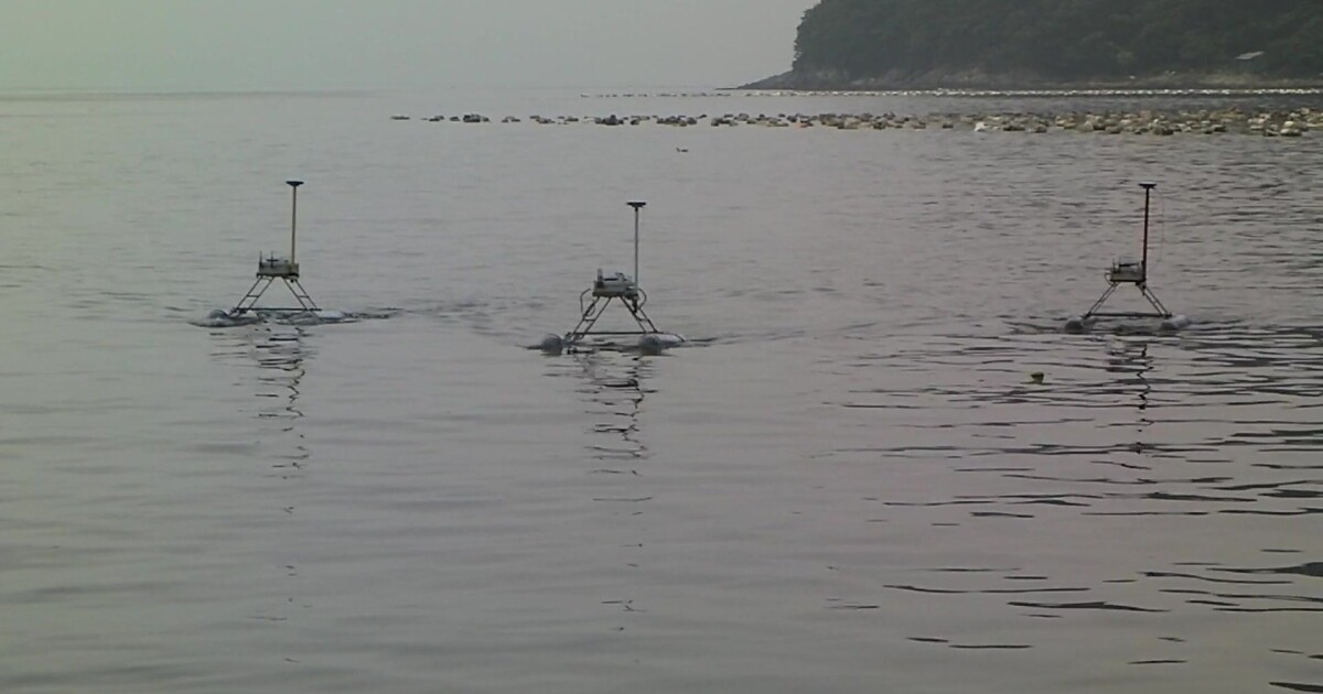 Jellyfish-shredding robots dispatched to clean Korea's coast - New Atlas