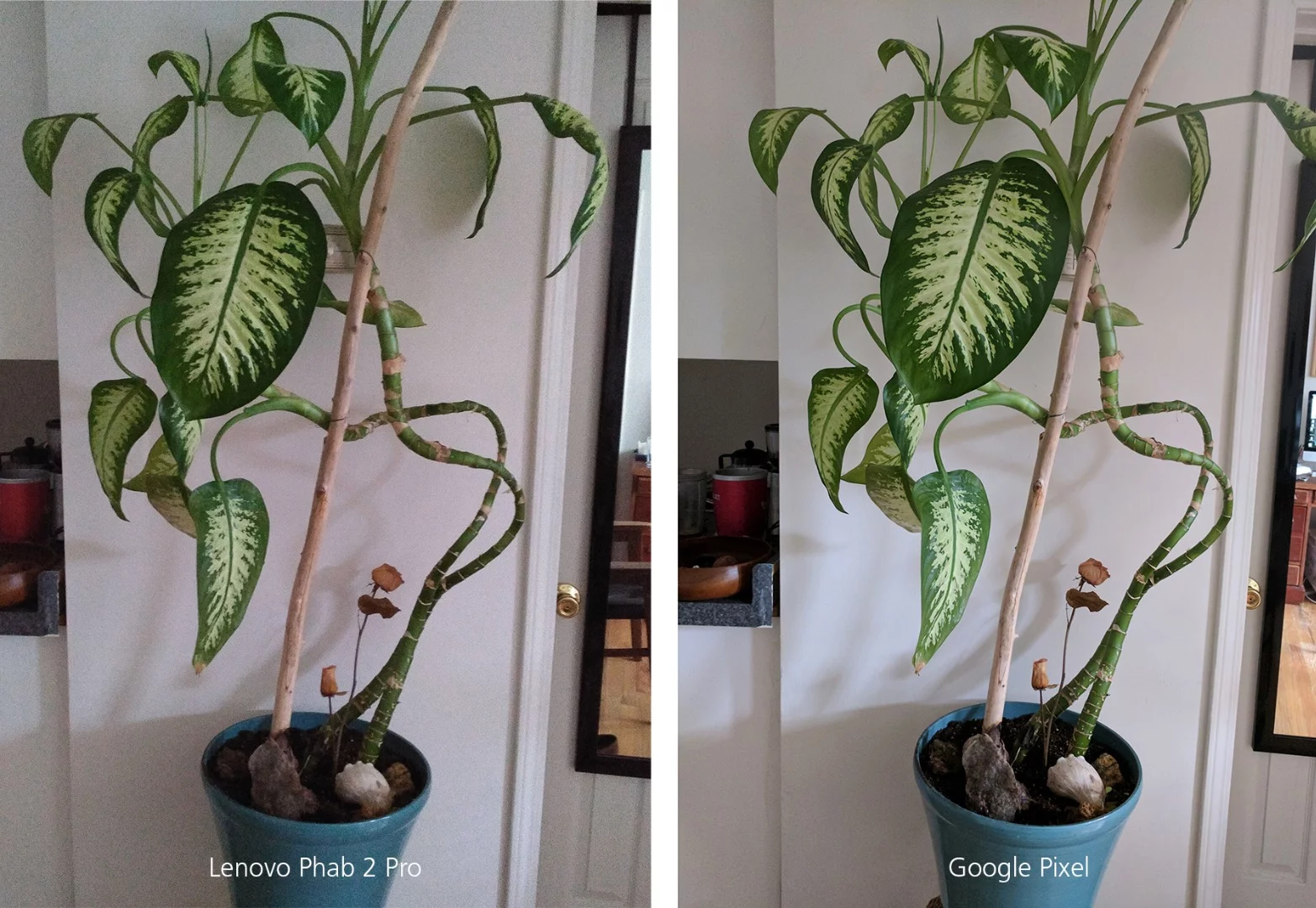 Camera comparison, indoors with low natural light