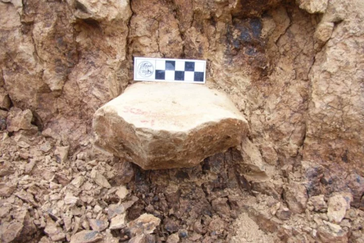 The discovery of two-million-year-old stone tools in China may rewrite the migration timeline of early human ancestors