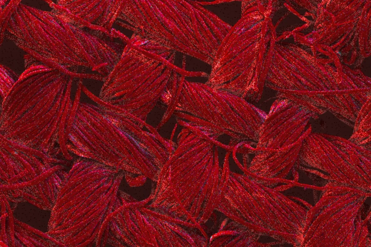 Red indicates the coverage of silver nanoparticles in a fabric in this image that's been magnified 200 times