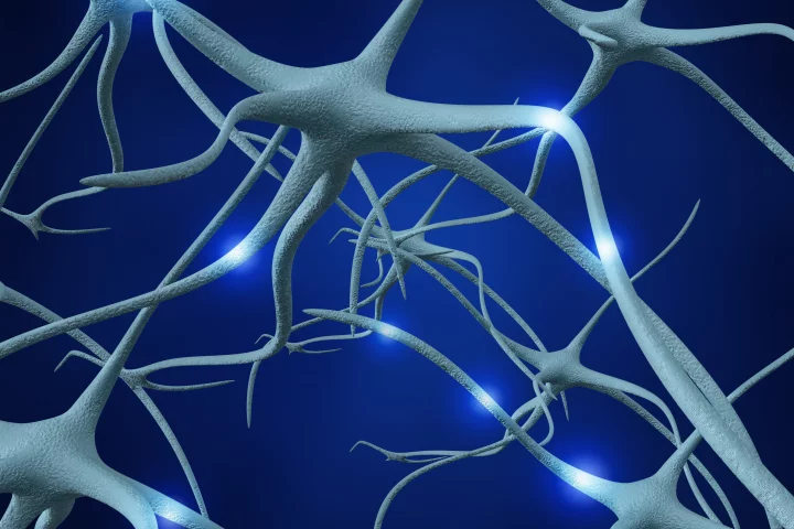 New technology could facilitate the healing of damaged nerves (Image: Shutterstock)