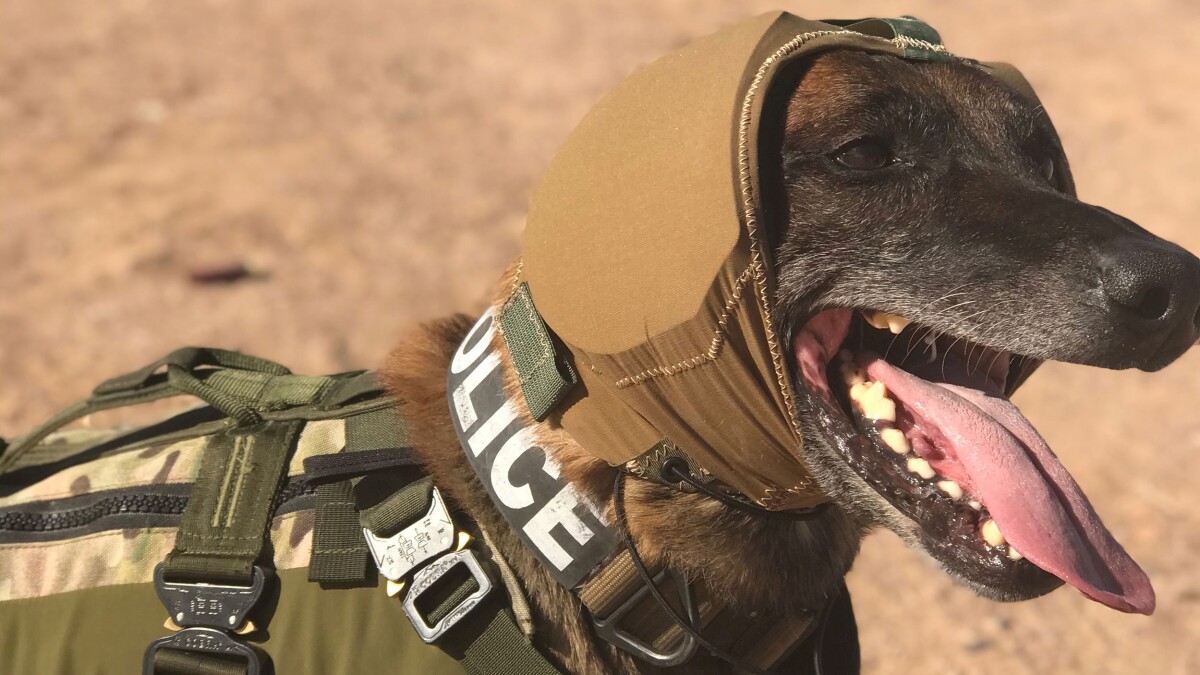 The CAPS hood has a low profile, so it shouldn't get in the way when dogs are working in tight spaces