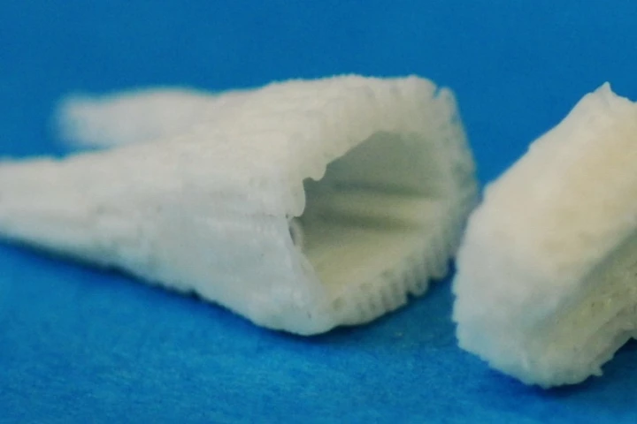 Dr. Mao's microchannelled scaffold