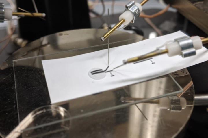 Engineers test the world's first printable, fully recycle transistor as part of a lactate biosensor