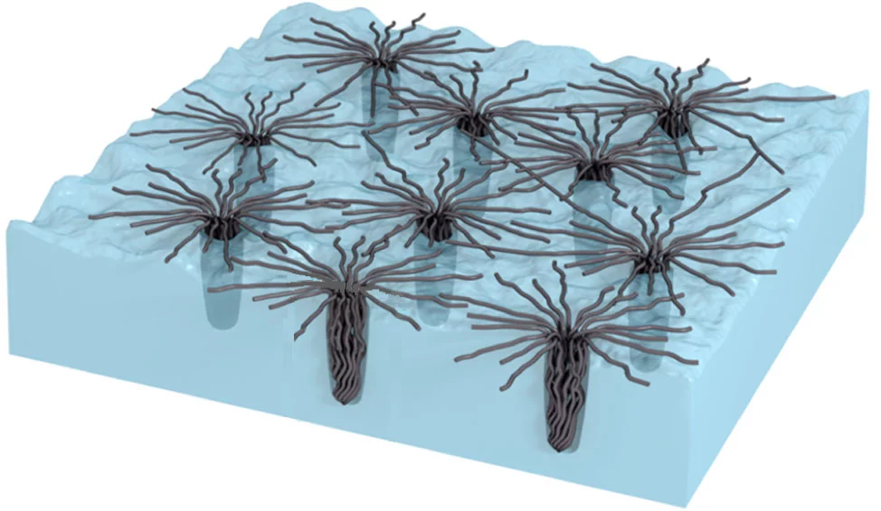 Carbon nanotubes collapse to penetrate and grip a surface