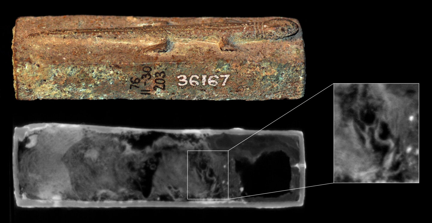 Animal coffin EA27584, with two lizard figures on top (top and side view). Neutron imaging shows cloth wrapping and 8 mm long bone (arrows).