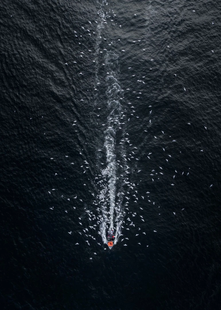 Seagulls swarm around a fishing boat. This drone shot won second prize in the Professional's Landscape category of SkyPixel's 2017 Photo Contest