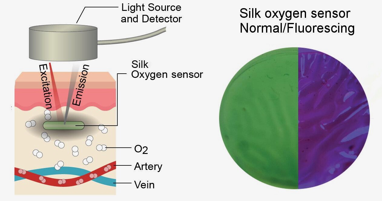 A diagram depicting how the sensor technology works