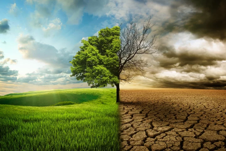 A special report from the IPCC entitled Climate Change and Land will form the basis of scientific input for upcoming climate and environment negotiations
