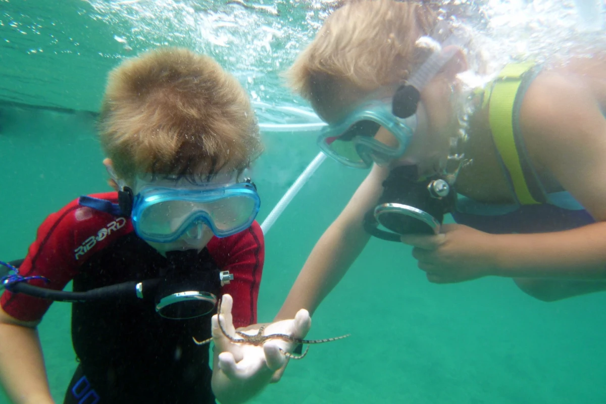 The Snorkel Dive helps get kids comfortable with scuba diving