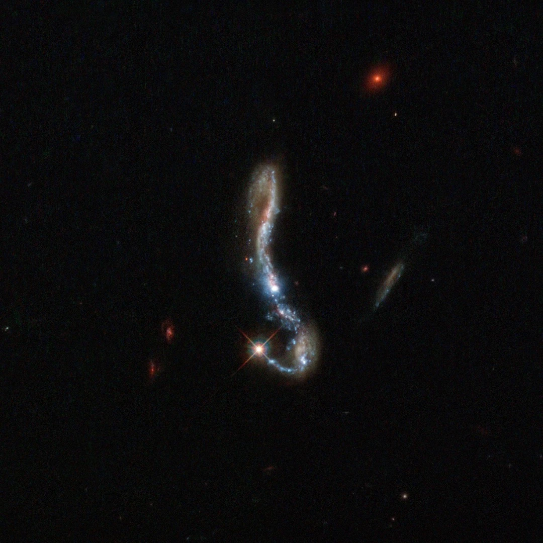Visible as a small, sparkling hook in the dark sky, this beautiful object is known as J082354.96+280621.6, or J082354.96 for short. It is a starburst galaxy, so named because of the incredibly (and unusually) high rate of star formation occurring within it