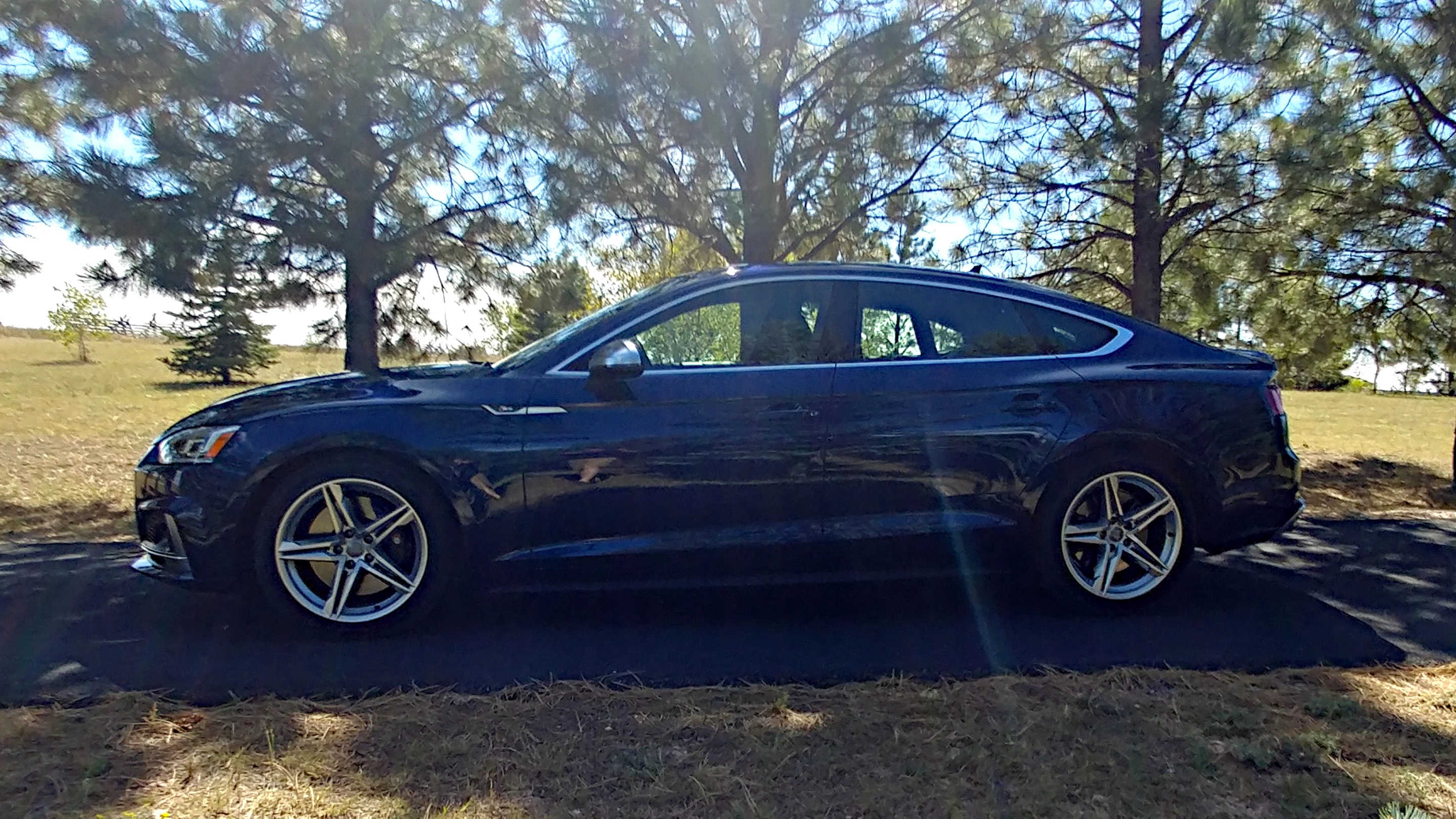 The Audi S5 Sportback retains high levels of comfort while delivering its strong performance measures