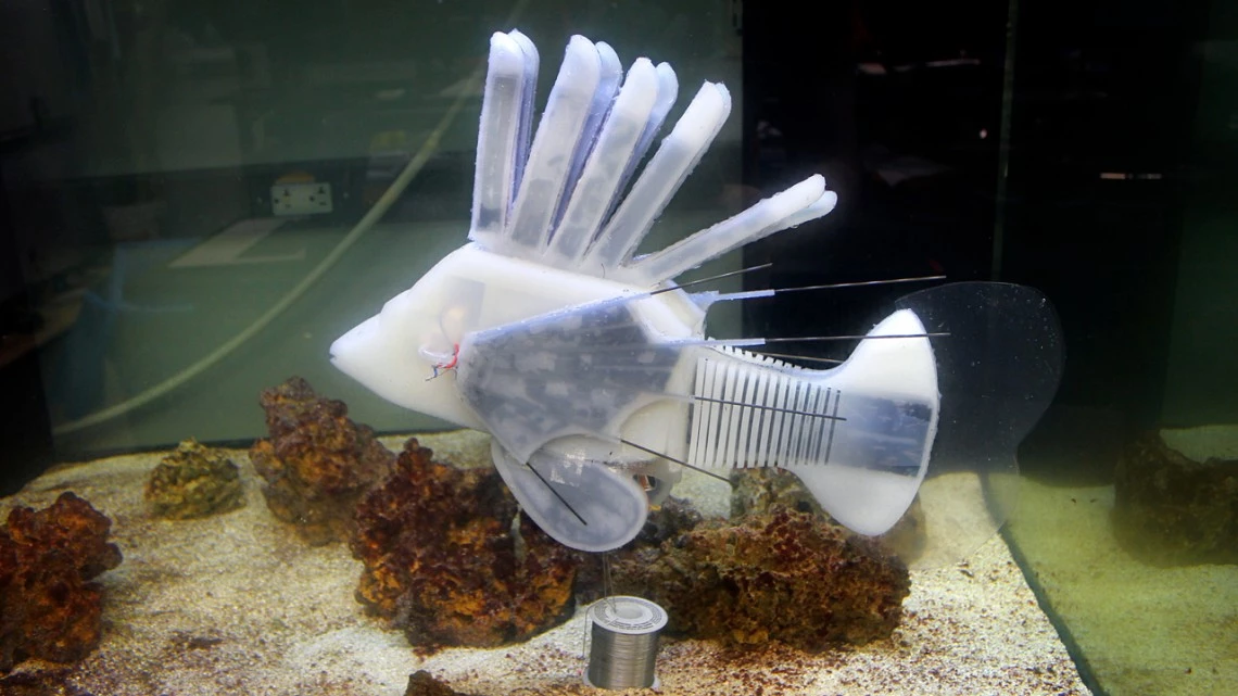 An aquatic soft robot, inspired by a lionfish, developed in 2019 to showcase the embodied energy approach