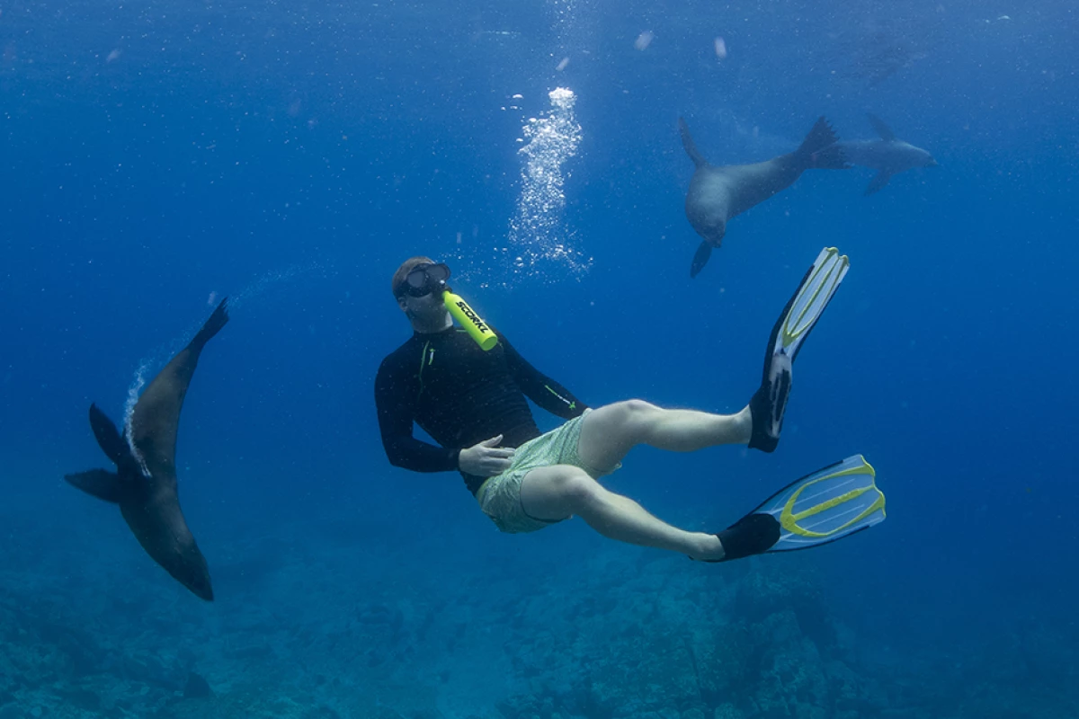 The Scorkl offers new worlds of exploration. Instead of holding your breath for 15 to 20 seconds for each exploratory venture underwater as you would do without assistance, the Scorkl expands your underwater range by 30 to 60 times.