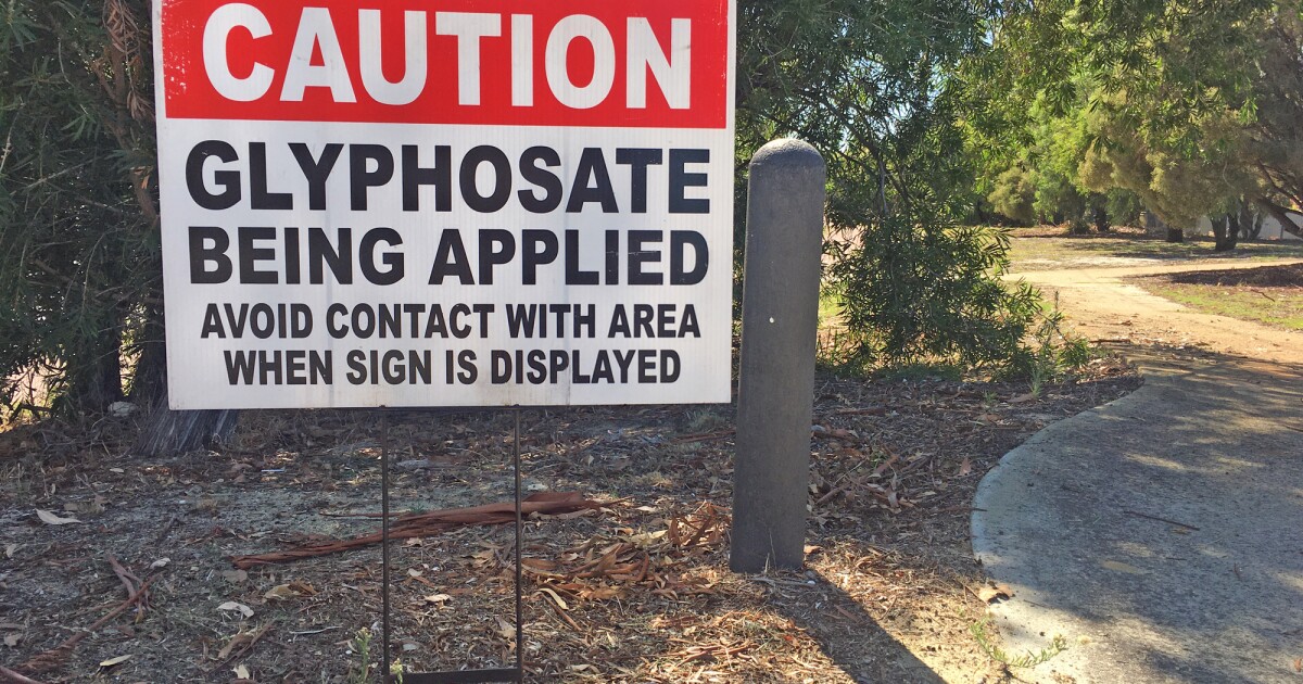 Standard weed killer impairs insect immune programs, elevating malaria threat