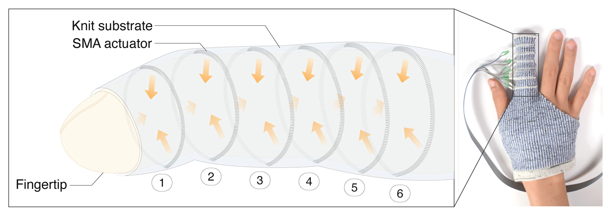 A diagram illustrating the sequential contractions of the KnitDema glove
