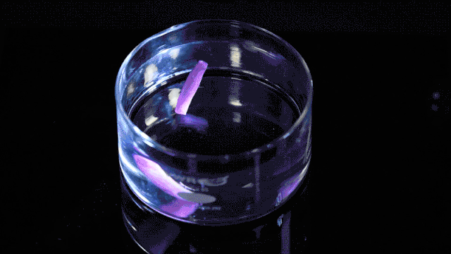 A keratin sheet as a complex origami star unfolded when submerged in water