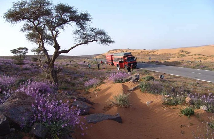 The Rotel rolling hotel takes you off the beaten track and lets you sleep in relative comfort under the starsThe Rotel rolling hotel takes you off the beaten track and lets you sleep in relative comfort under the stars