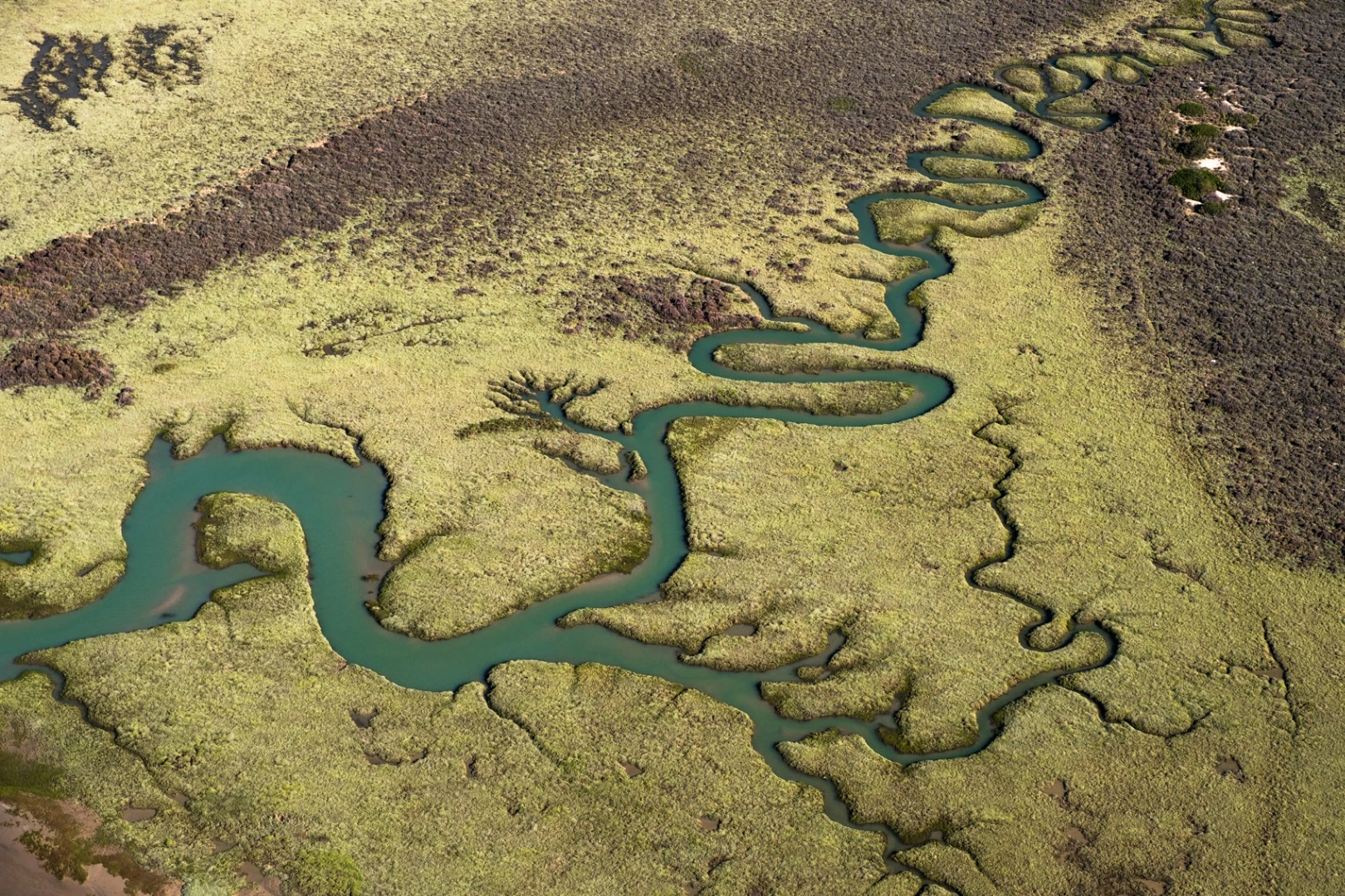 Snake river, Cadiz