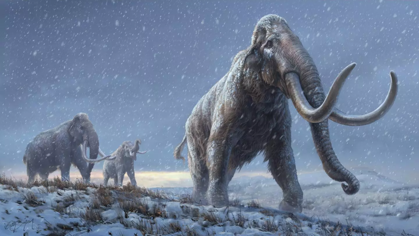 A new DNA discovery reveals a previously unknown lineage of mammoth