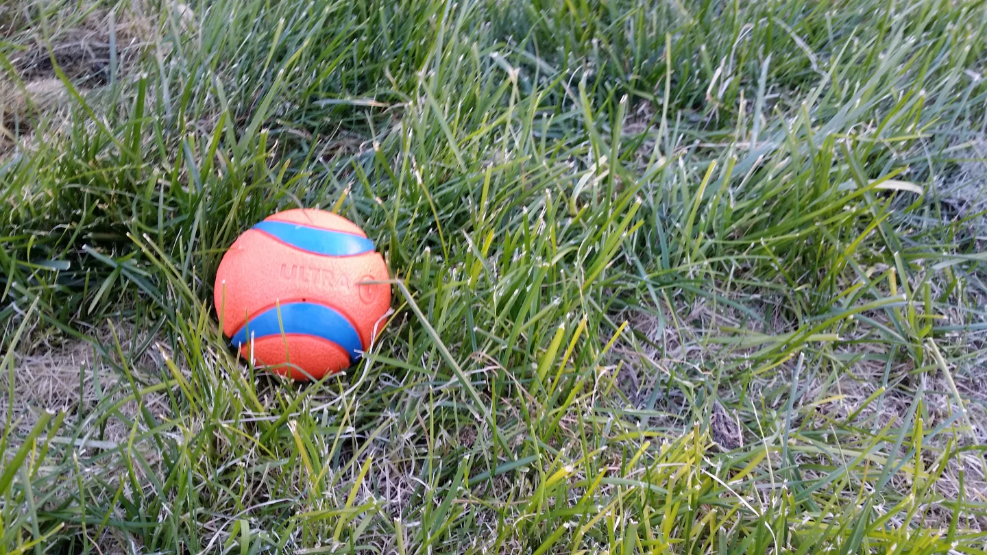 A late afternoon shot