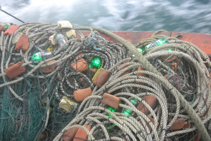 One of the LED-packing gill nets