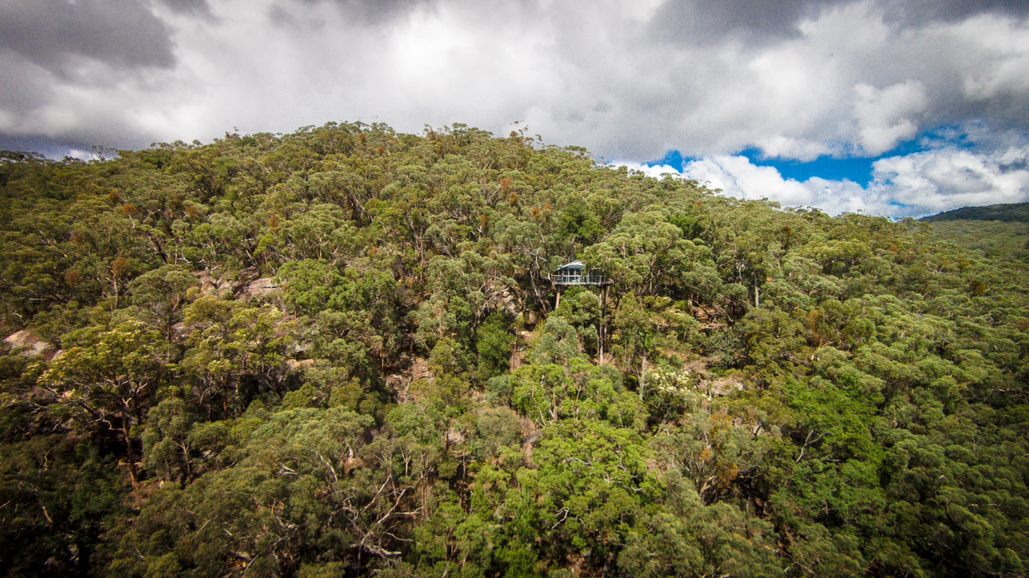 Wollemi treehouse hotel: part of a gorgeous piece of Blue Mountains bushland (Photo: Loz Blain/Gizmag)
