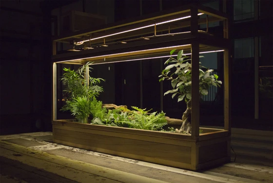 Plant-in City is a smart garden system that uses computer software to monitor water and light