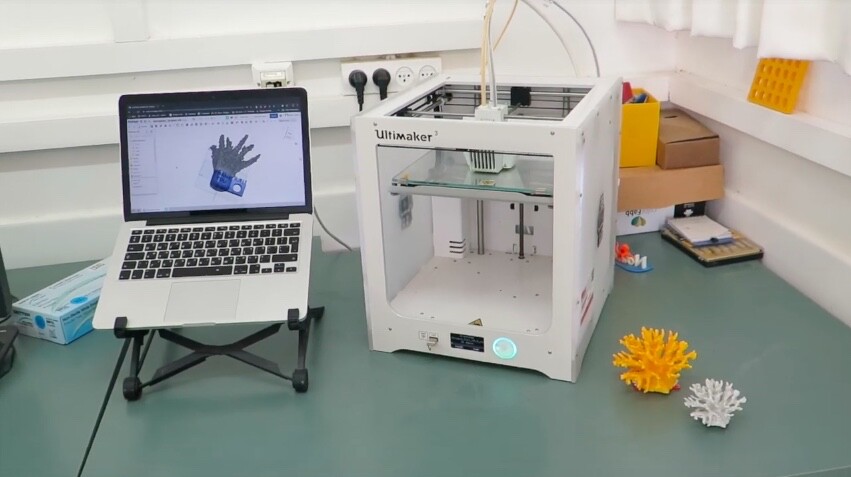 Examples of the 3D-printed corals
