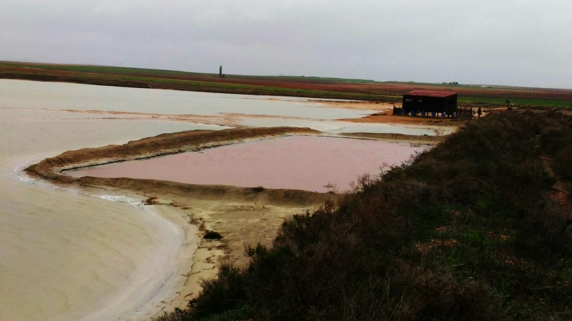The candy-pink Laguna de Peña Hueca derives its color from the red cells of the salt-loving algae Dunaliella salina EP-1