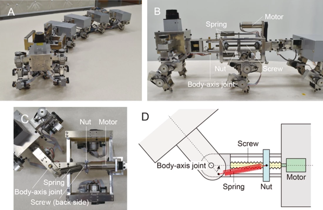 A. The myriapod robot. B. Front view. C. Top view. D. Schematics of top view