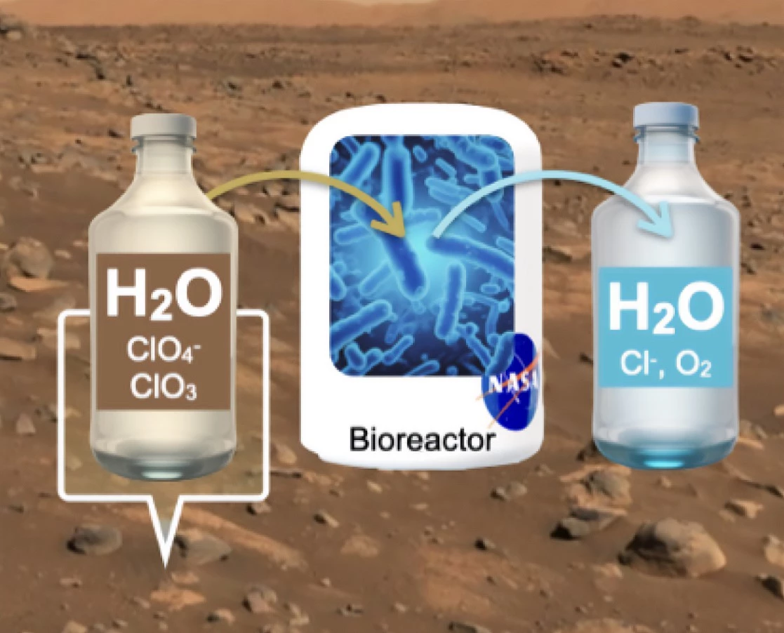 The new method uses bacteria to break down perchlorates on Mars
