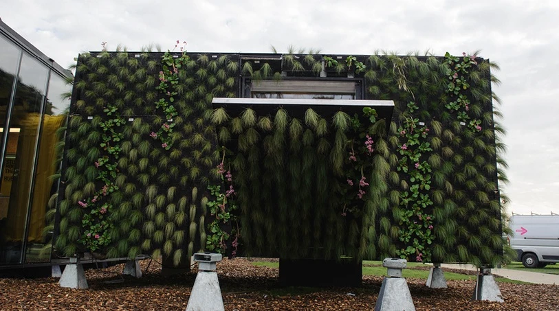 Back-to-Basics Unit features a larger-than-life green outer wall