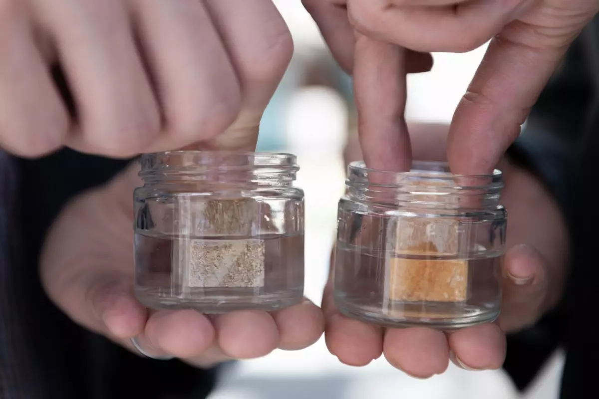 A treated piece of wood resists absorbing water (left), while an untreated piece readily does so, changing color in the process (right)