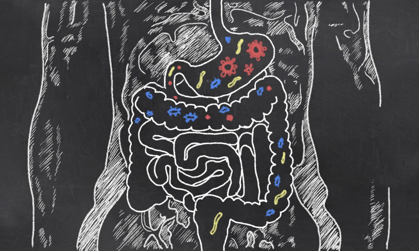 Largest Ever Microbiome Study Offers Novel Insights Into Gut Bacteria And Human Health