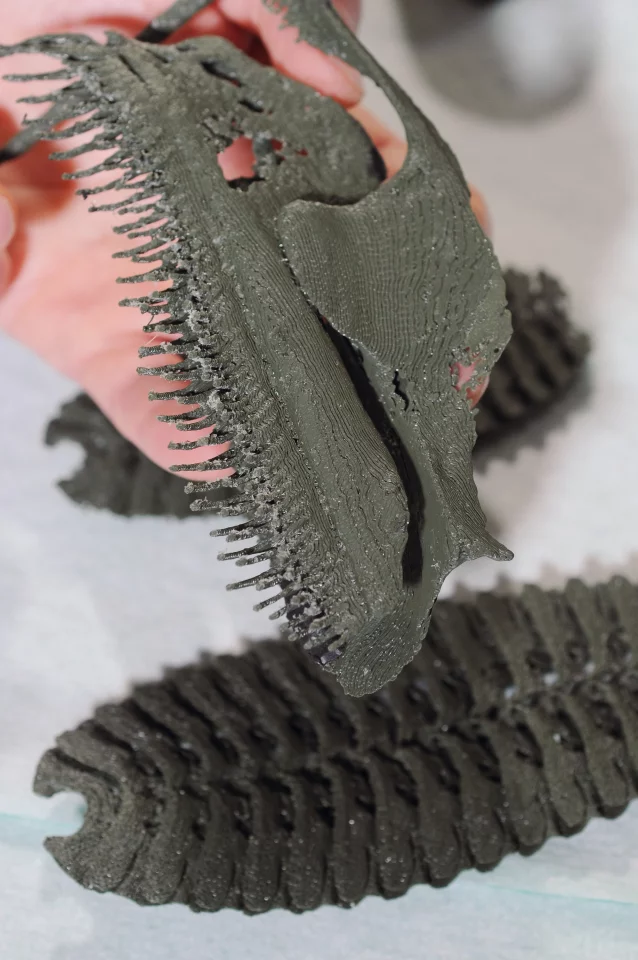 An enlarged 3D rapid prototype of a lamella (top) and a remora's adhesive disk (bottom)
