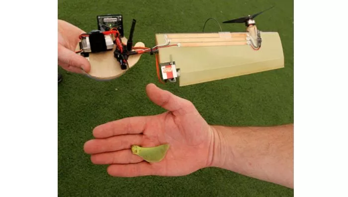 Lockheed Martin's Samarai Flyer monocopter micro air vehicle, alongside a maple seed