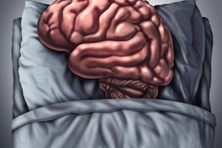 Stanford scientists have found different sections of the brain fall asleep and wake up constantly