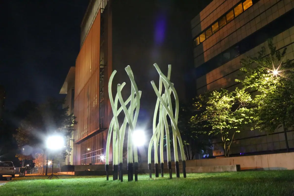 A human controller sets some basic design parameters pertaining to how they want the finished structure to look, and MIT's FIberbots do the rest