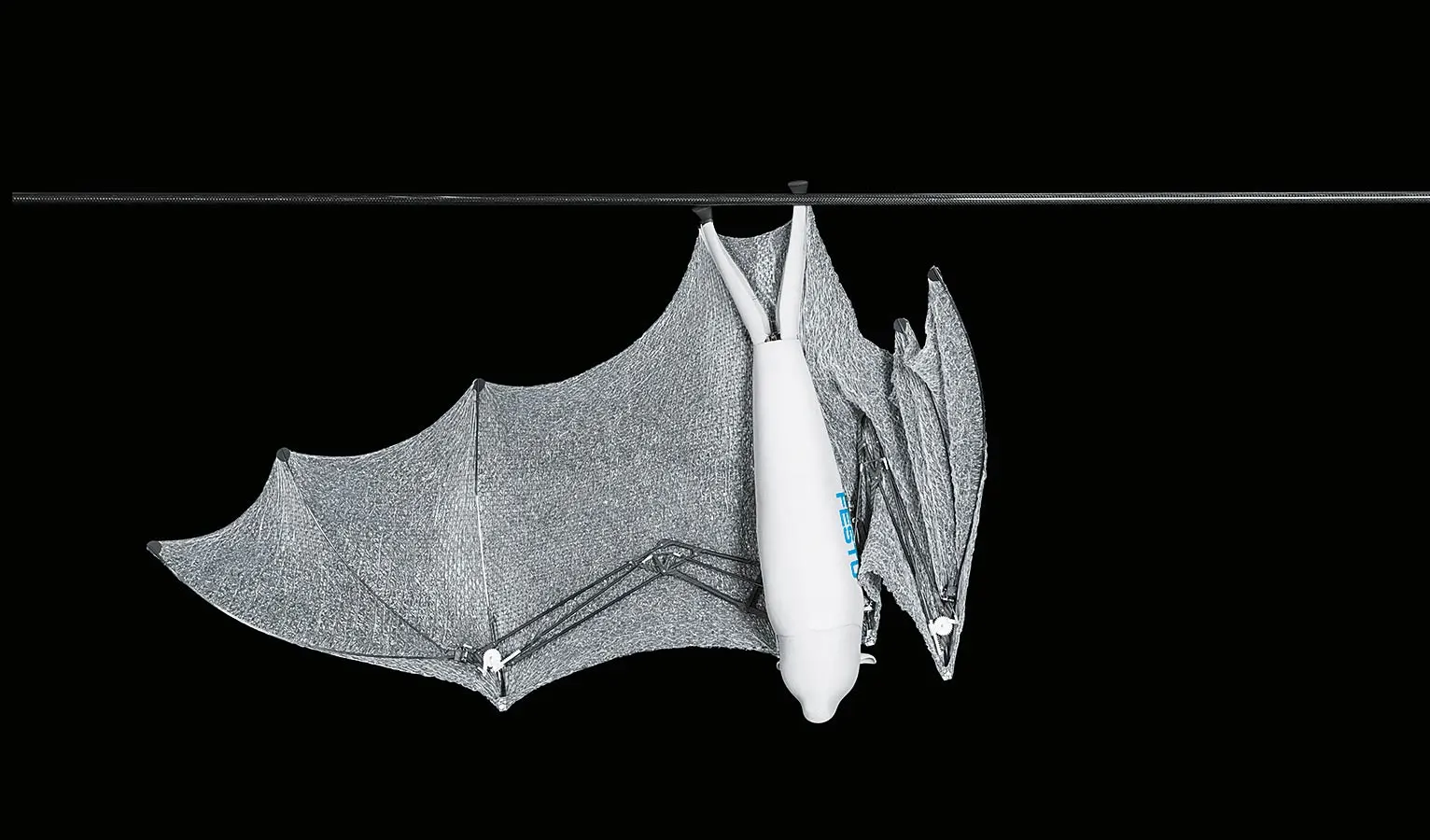 The BionicFlyingFox takes off from a hanging position