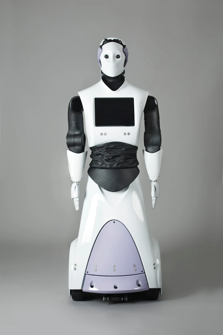 The original REEM robot from PAL Robotics as unveiled back in 2011