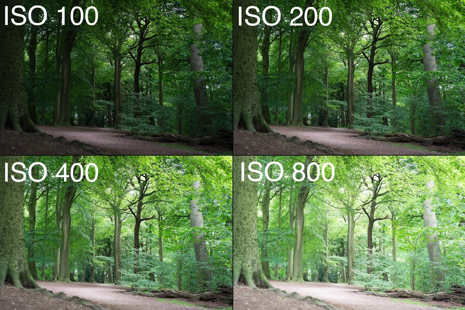 Increasing the ISO setting makes images brighter, if leaving all other settings the same